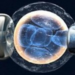 reproducción asistida